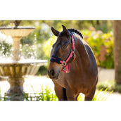 LeMieux Juego de Cabestro Vogue Cranberry