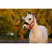 LeMieux Juego de Cabestro Mini Vogue Cranberry