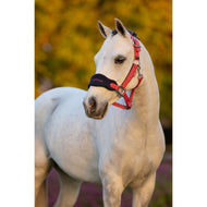 LeMieux Juego de Cabestro Mini Vogue Cranberry