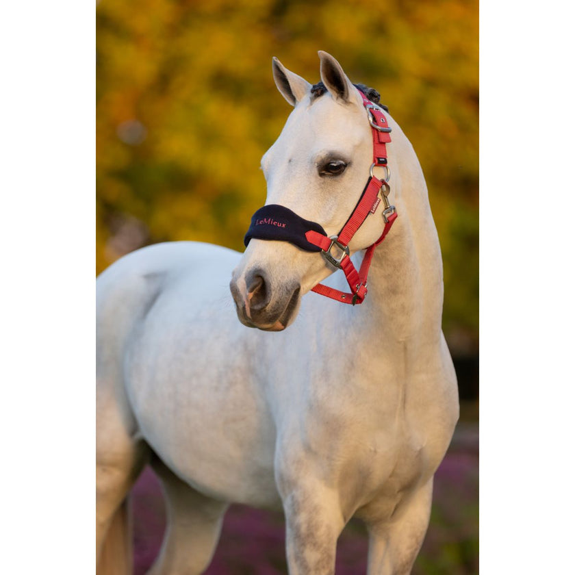 LeMieux Juego de Cabestro Mini Vogue Cranberry