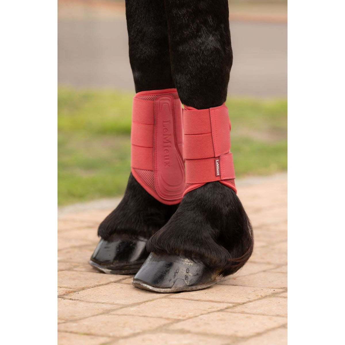 LeMieux Botas para Tendones Arika Mesh Cranberry