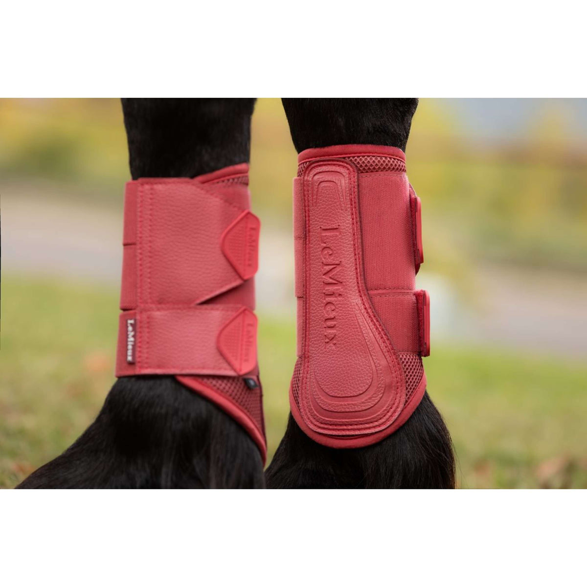 LeMieux Botas para Tendones Arika Mesh Cranberry