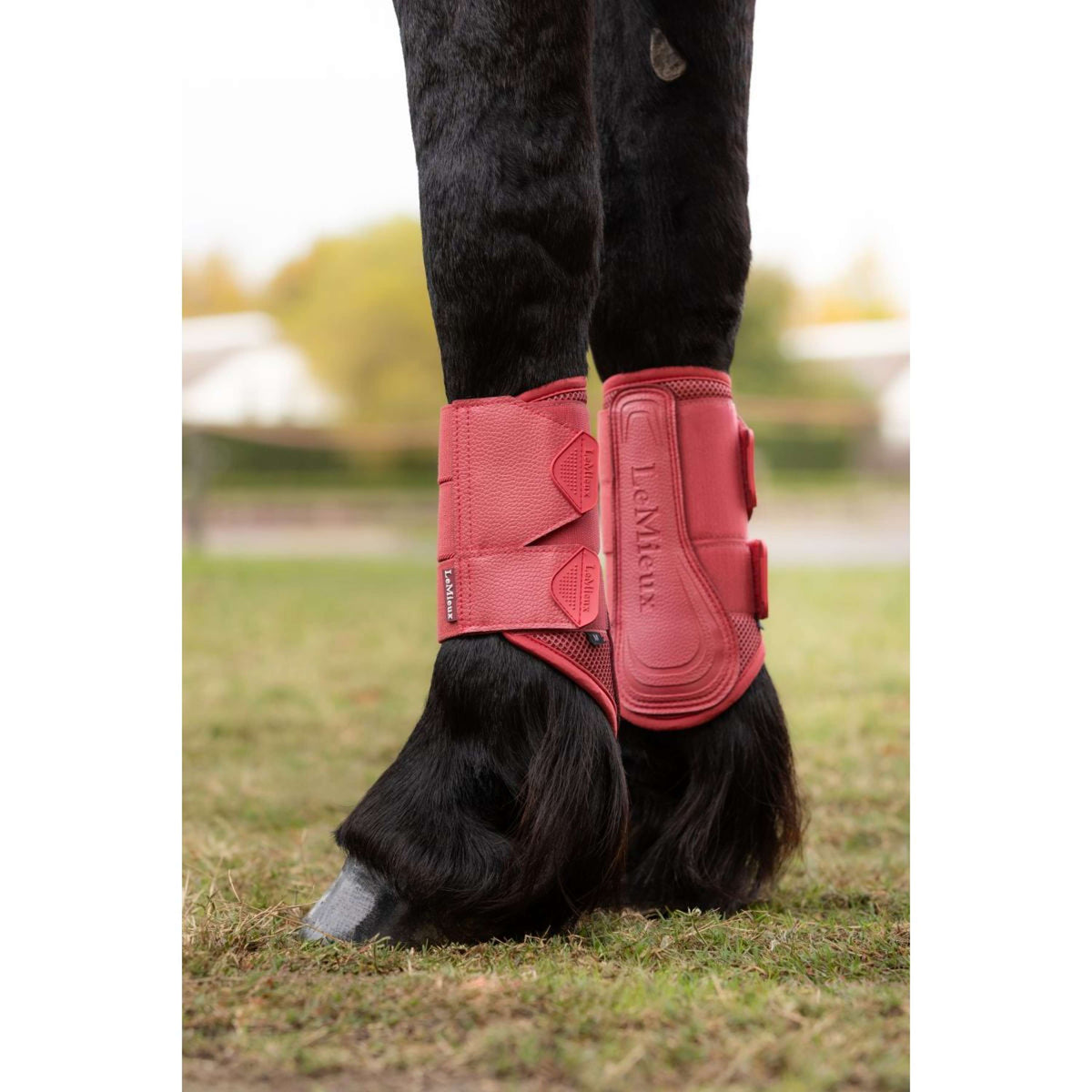 LeMieux Botas para Tendones Arika Mesh Cranberry