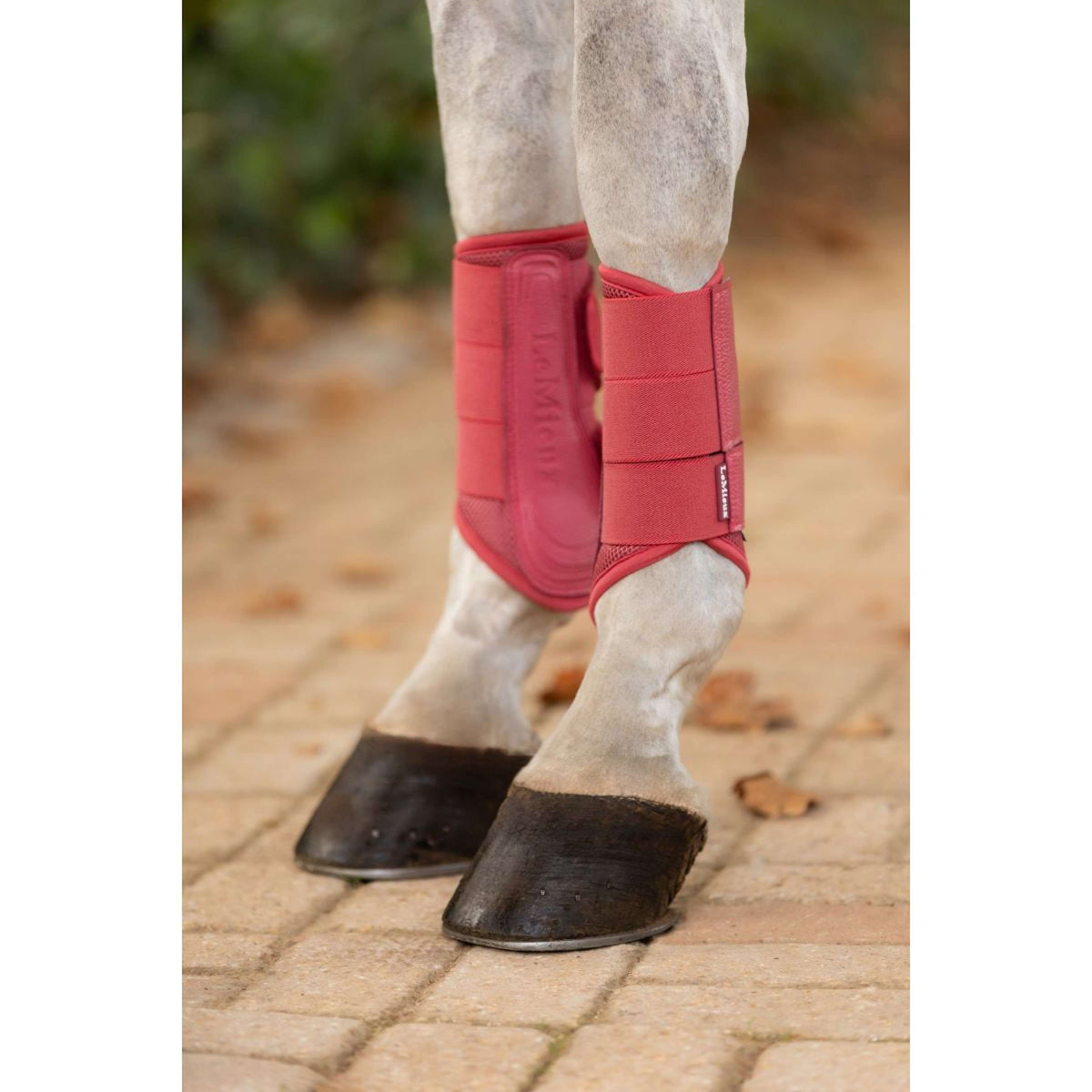 LeMieux Botas para Tendones Arika Mesh Cranberry