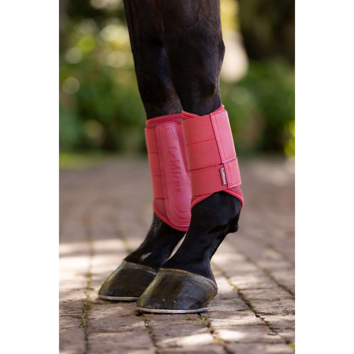 LeMieux Botas para Tendones Arika Mesh Cranberry
