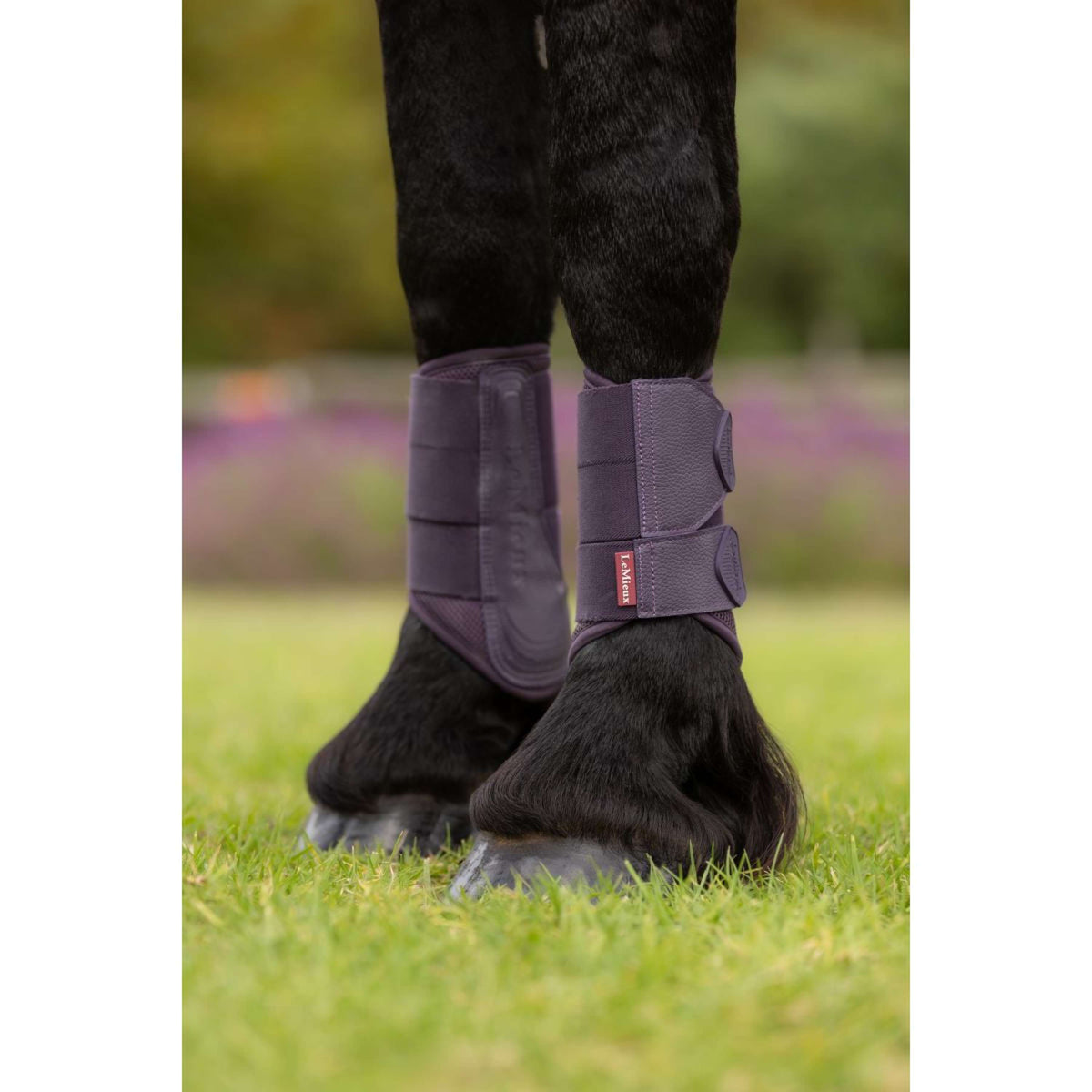 LeMieux Botas para Tendones Arika Mesh Juniper