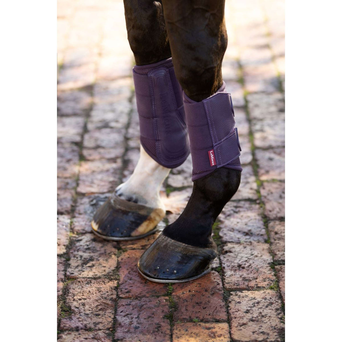 LeMieux Botas para Tendones Arika Mesh Juniper