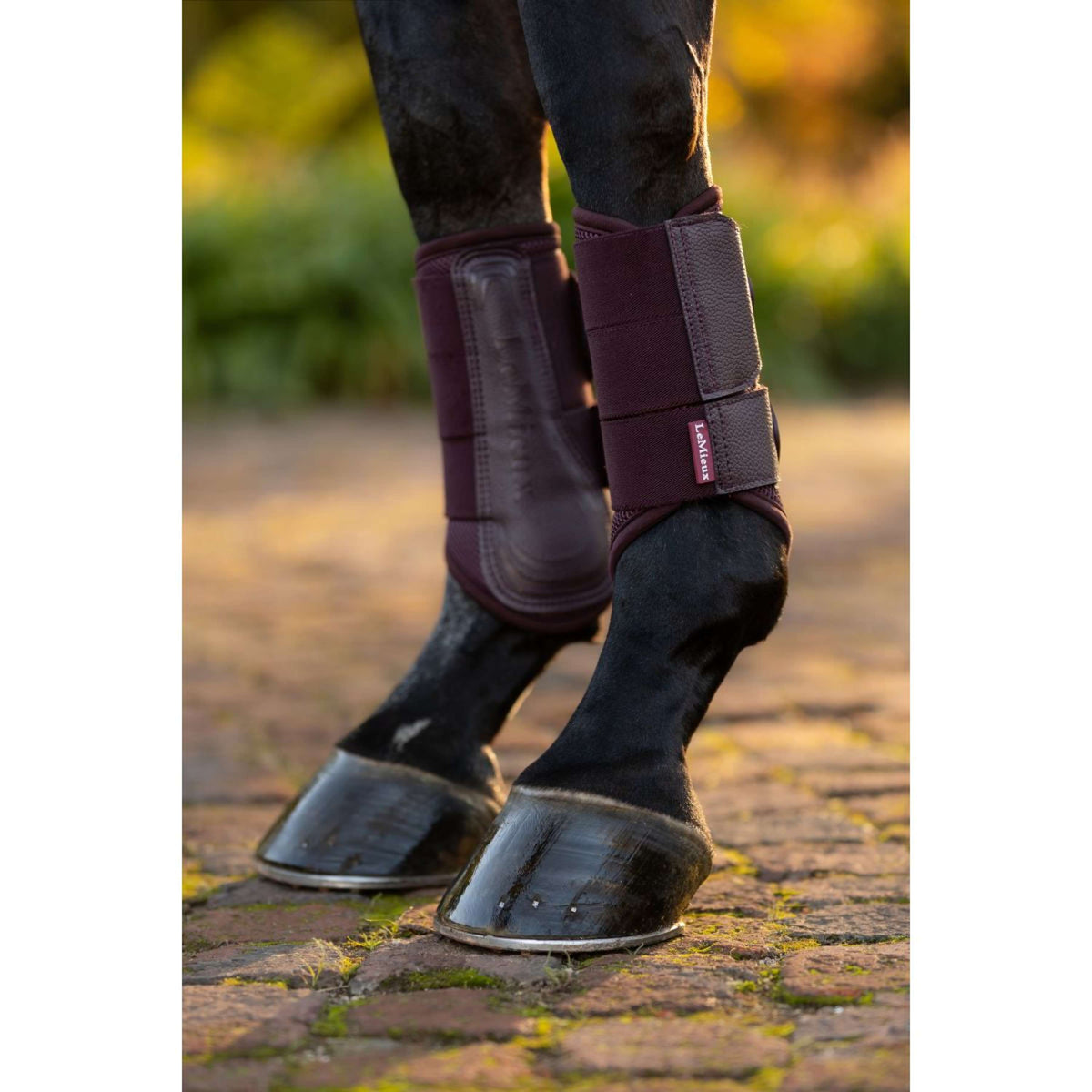 LeMieux Botas para Tendones Arika Mesh Color ES: Ciruela