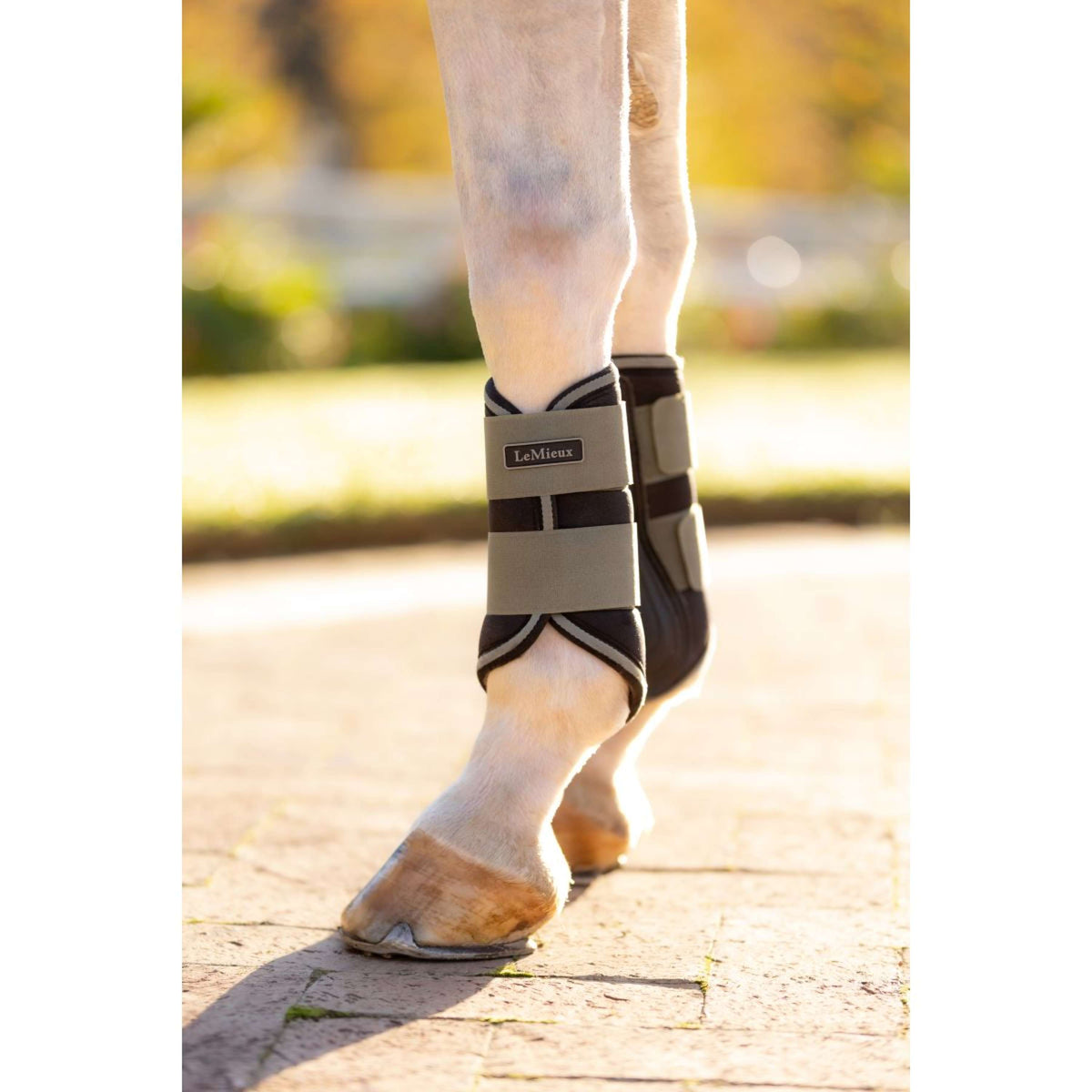 LeMieux Botas para Tendones Grafter Rosemary