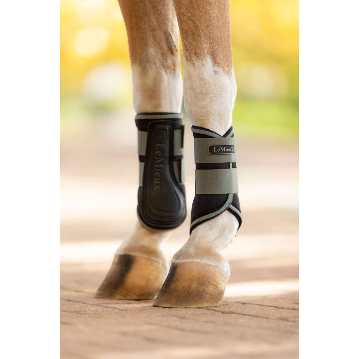 LeMieux Botas para Tendones Mini Grafter Rosemary