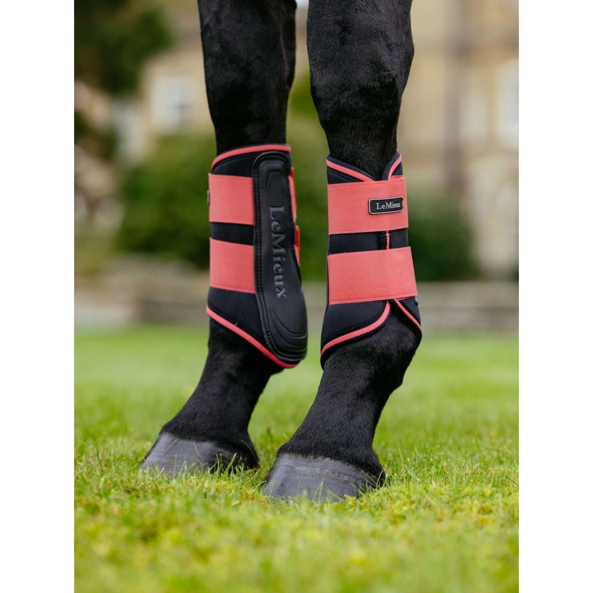 LeMieux Botas para Tendones Grafter Cranberry