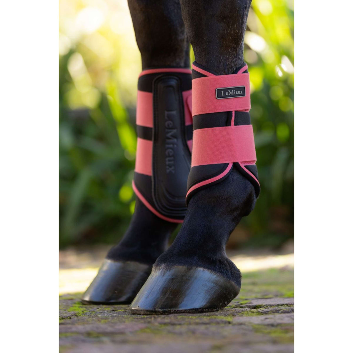LeMieux Botas para Tendones Grafter Cranberry