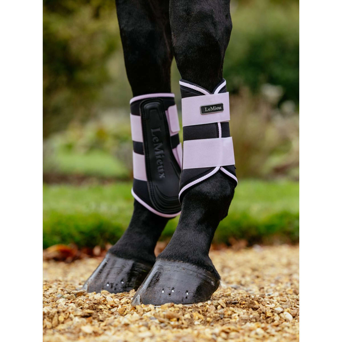 LeMieux Botas para Tendones Grafter Lilac