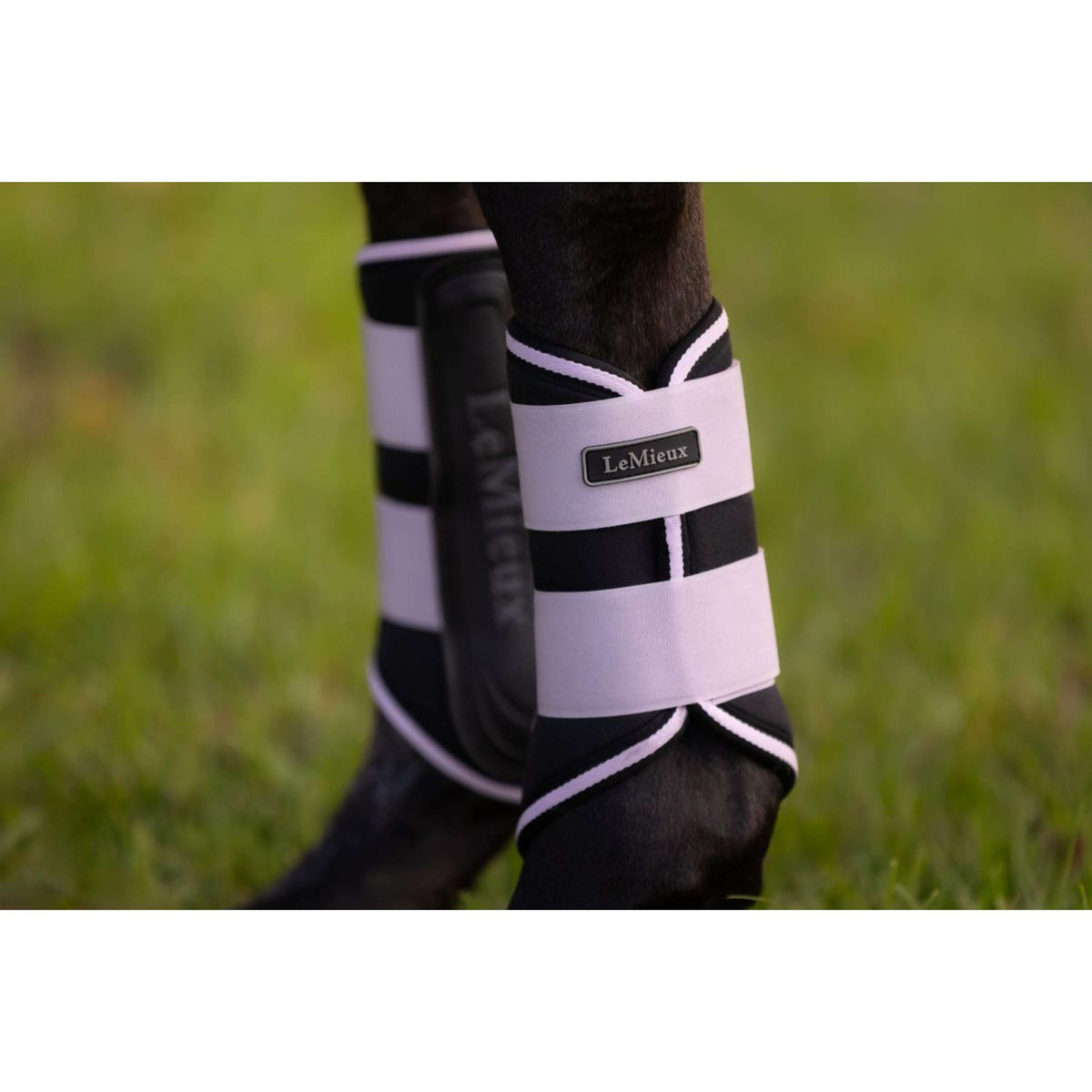 LeMieux Botas para Tendones Grafter Lilac