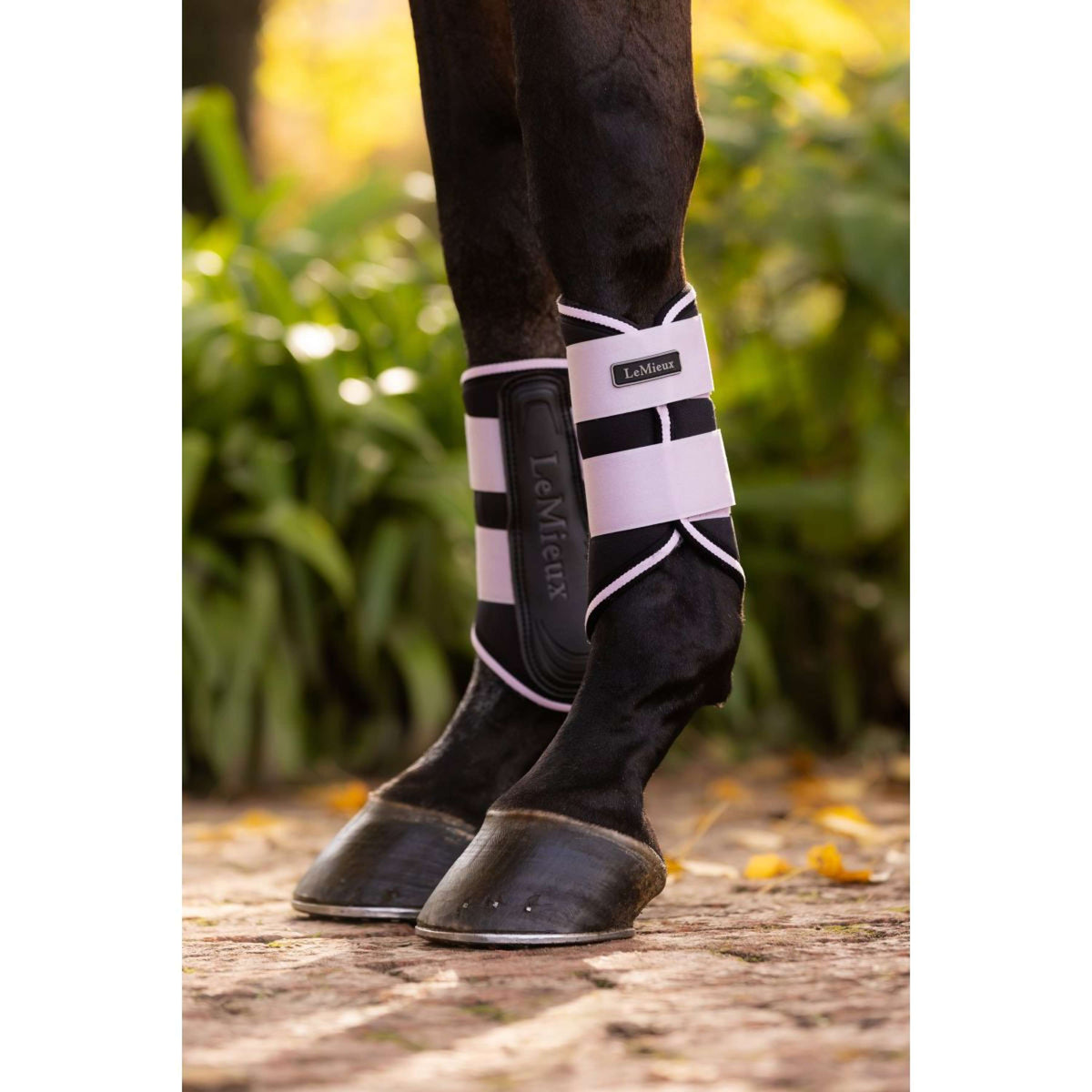 LeMieux Botas para Tendones Grafter Lilac