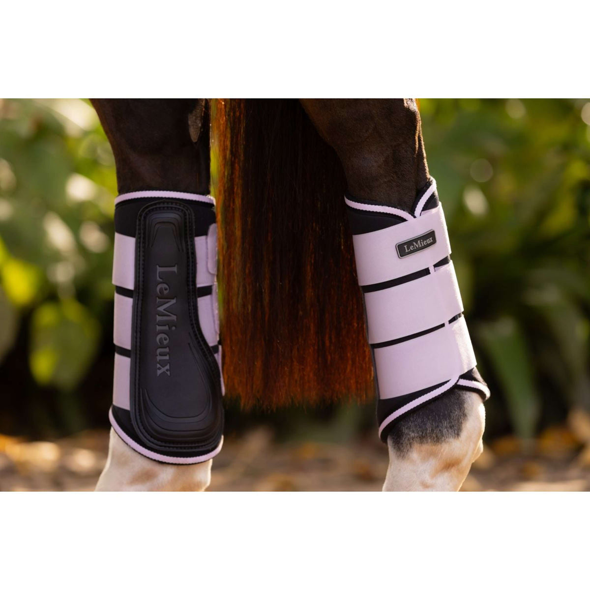 LeMieux Botas para Tendones Grafter Lilac