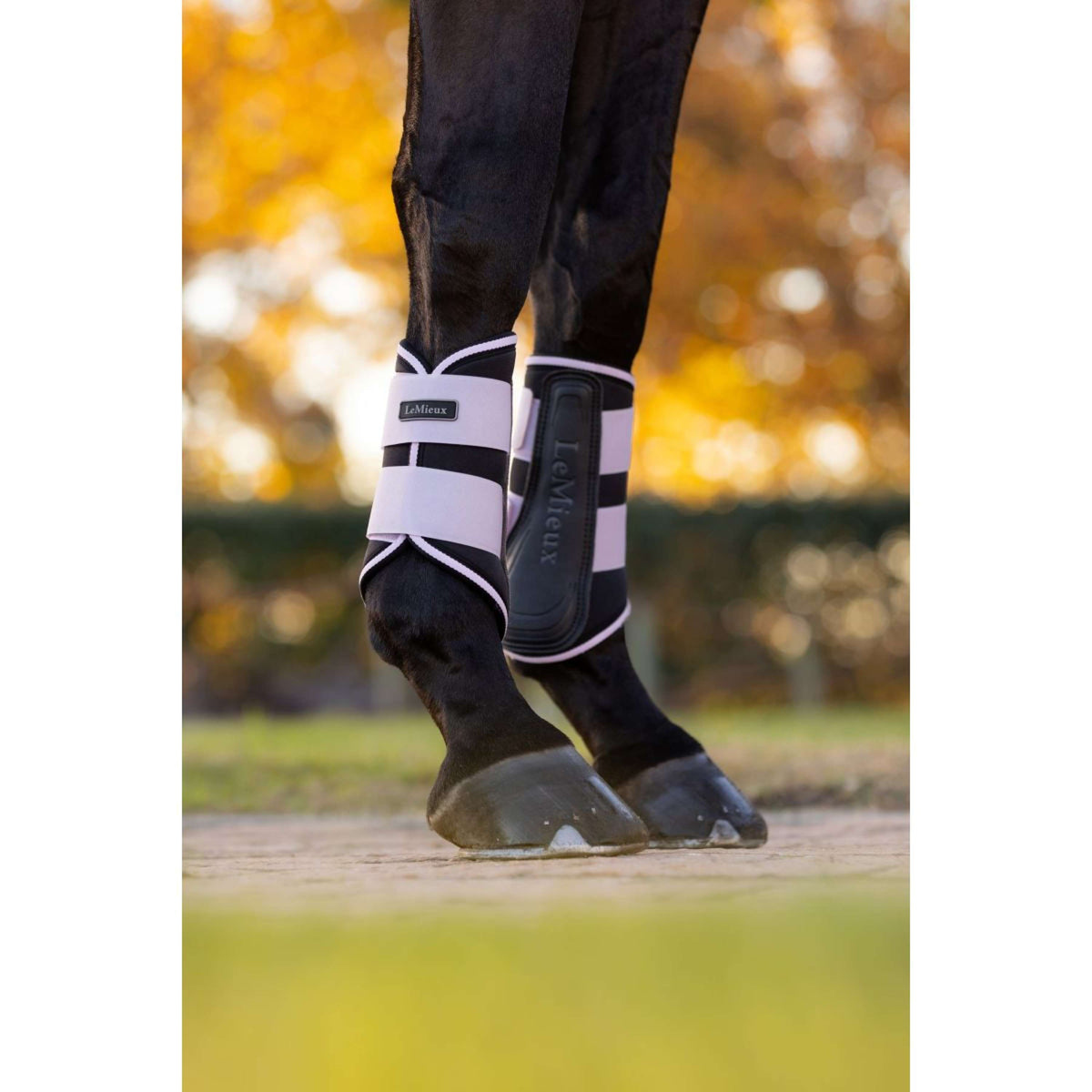 LeMieux Botas para Tendones Grafter Lilac