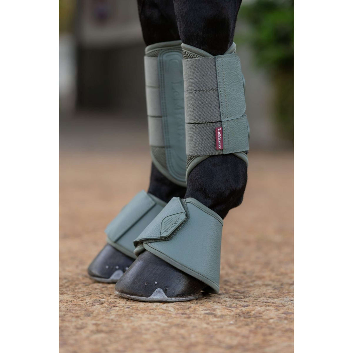 LeMieux Botas para Caballos Arika Rosemary