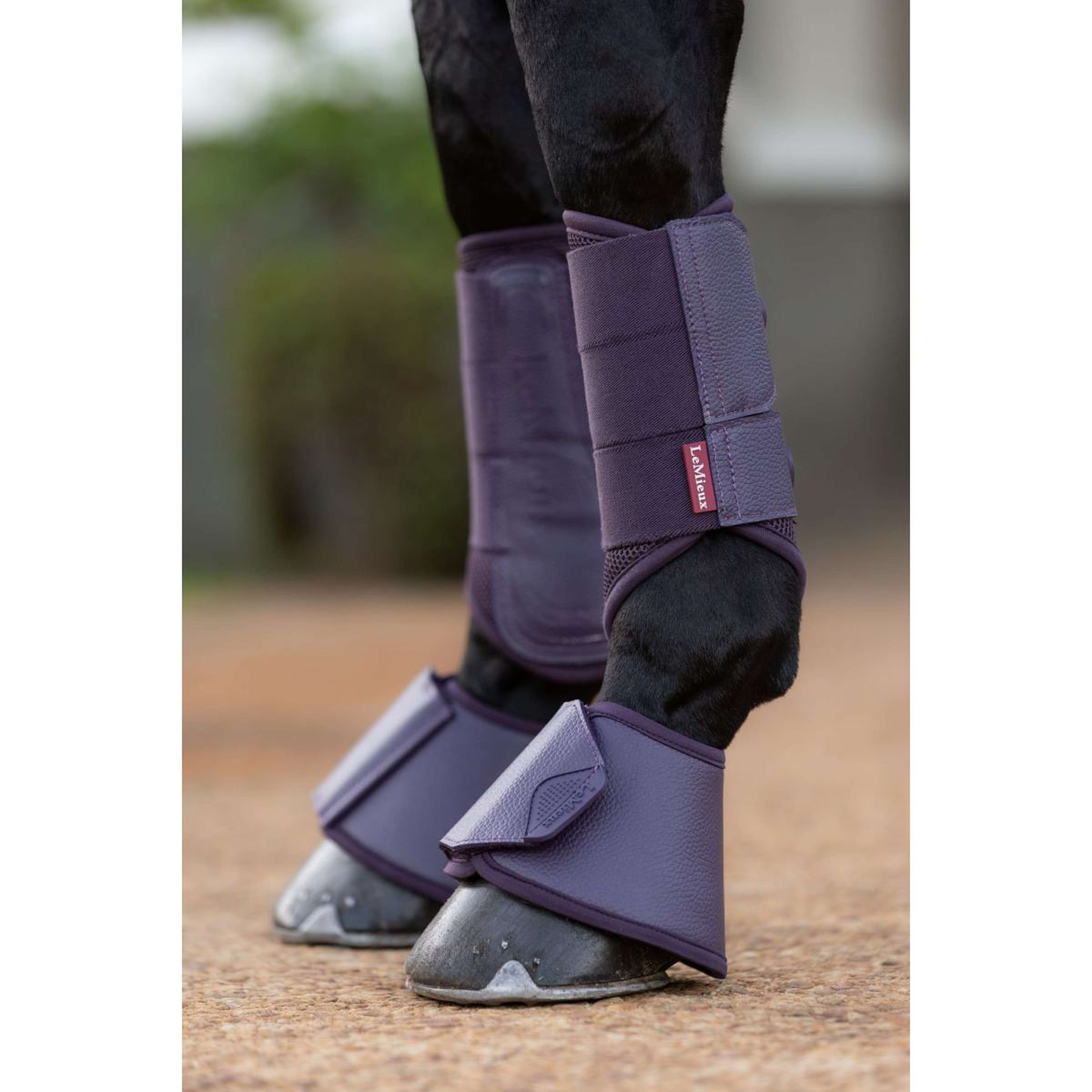 LeMieux Botas para Caballos Arika Juniper