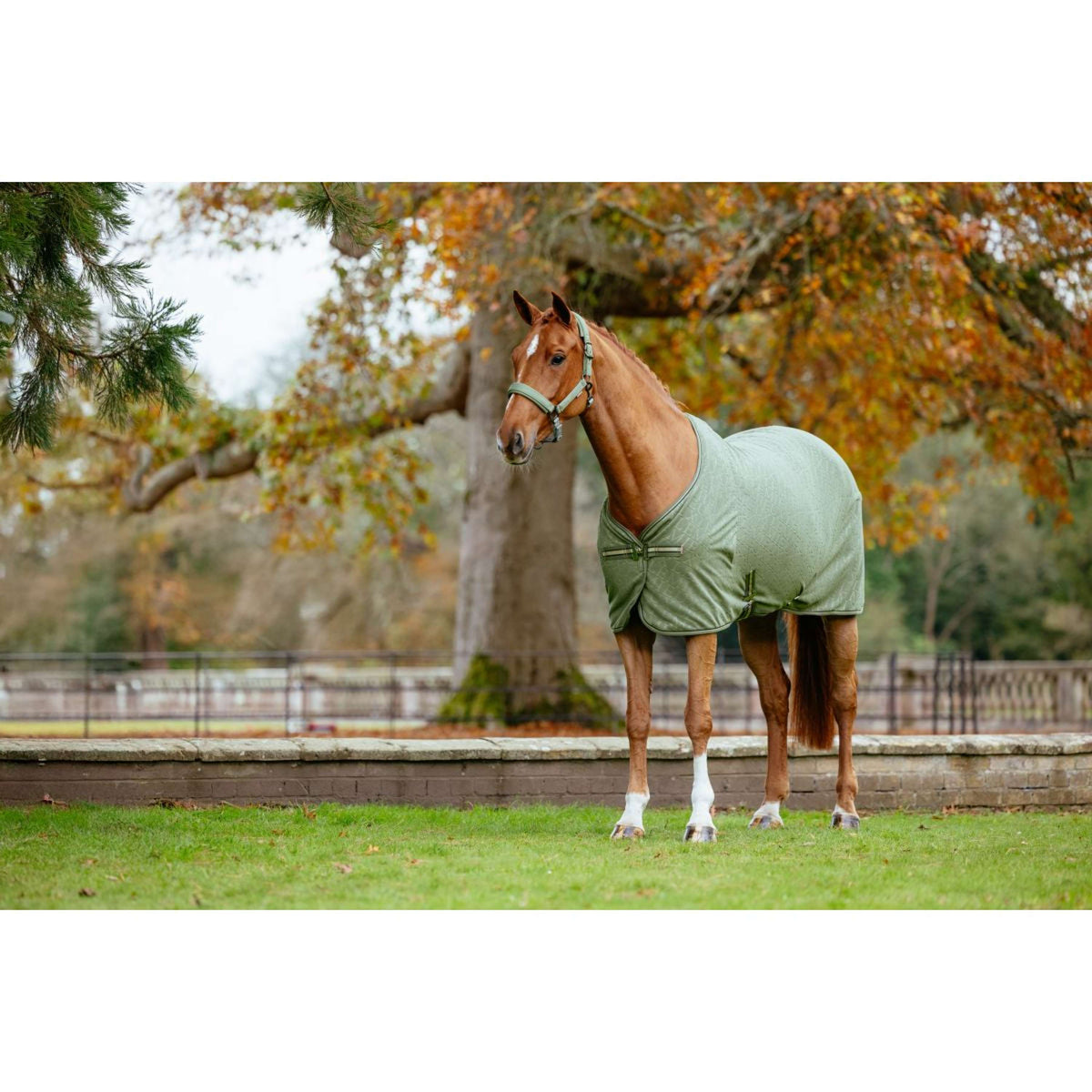 LeMieux Manta de Forro Polar Arika Monogram Rosemary