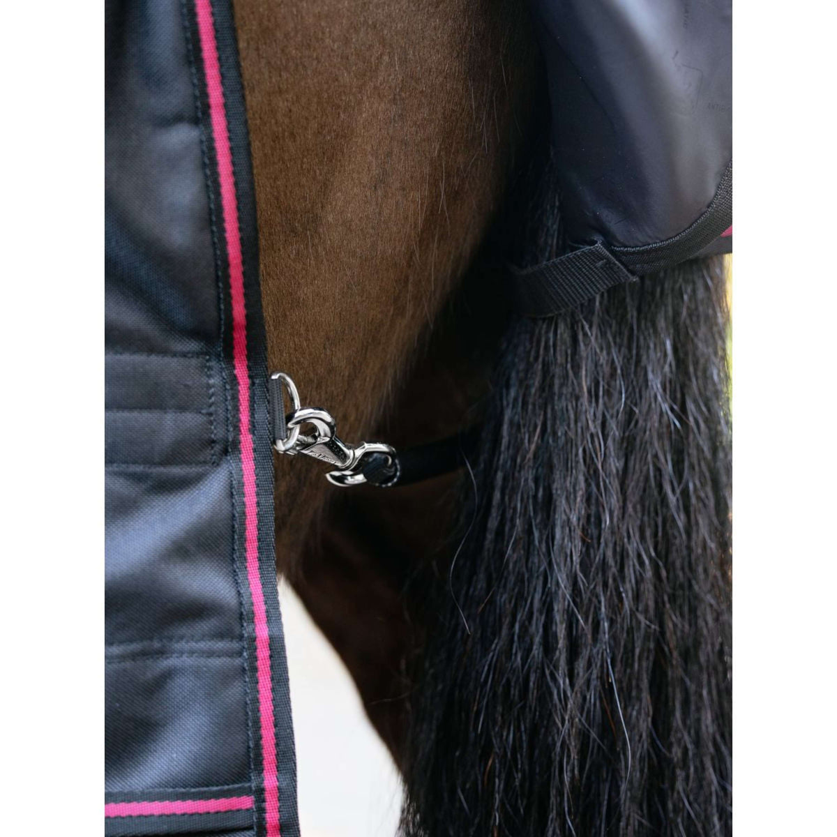 LeMieux Alfombra de Exterior Arika Storm-Tek 100g Negro