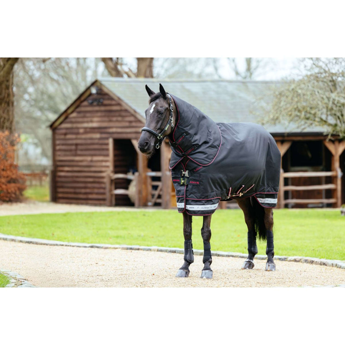 LeMieux Alfombra de Exterior Arika Storm-Tek 100g Negro