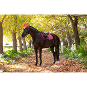 LeMieux Mantilla Suede saltando Cranberry