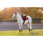 LeMieux Mantilla Mini Suede saltando Cranberry