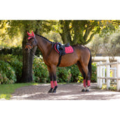 LeMieux Mantilla Loire Classic saltando Cranberry