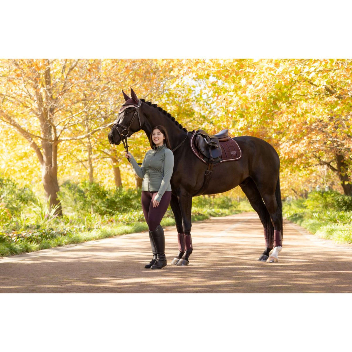 LeMieux Mantilla Loire Classic saltando Color ES: Ciruela
