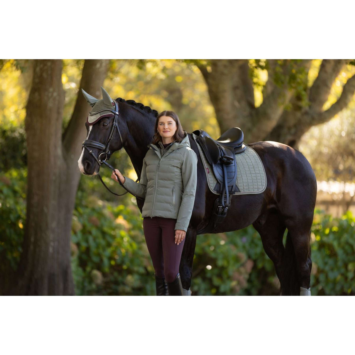 LeMieux Mantilla Suede Doma clásica Rosemary