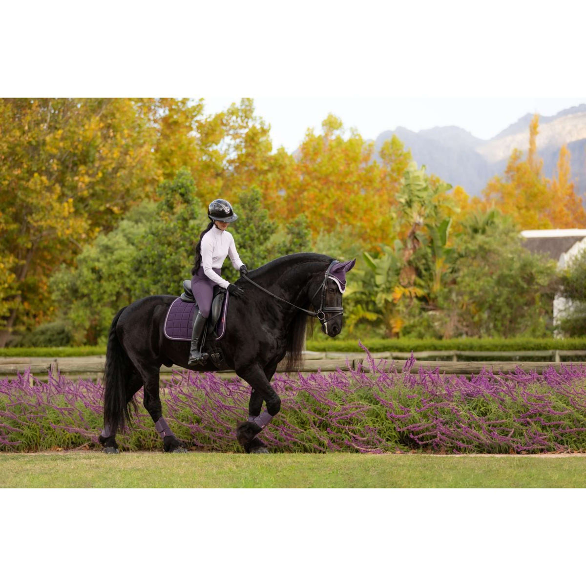 LeMieux Mantilla Loire Classic Doma clásica Juniper