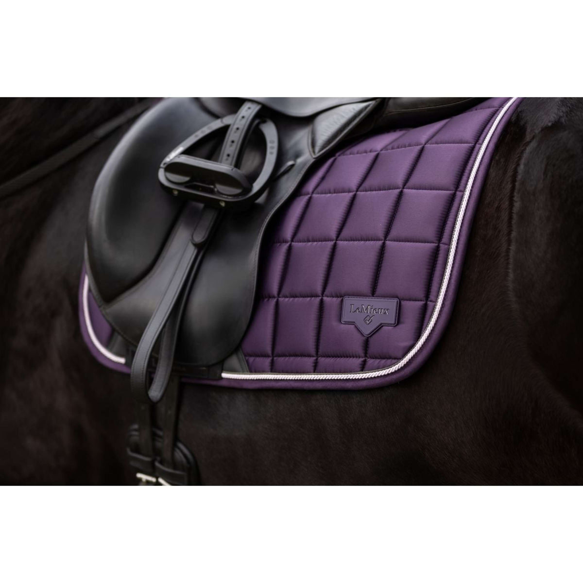 LeMieux Mantilla Loire Classic Doma clásica Juniper