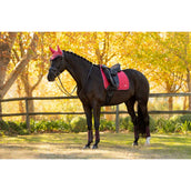 LeMieux Mantilla Loire Classic Doma clásica Cranberry