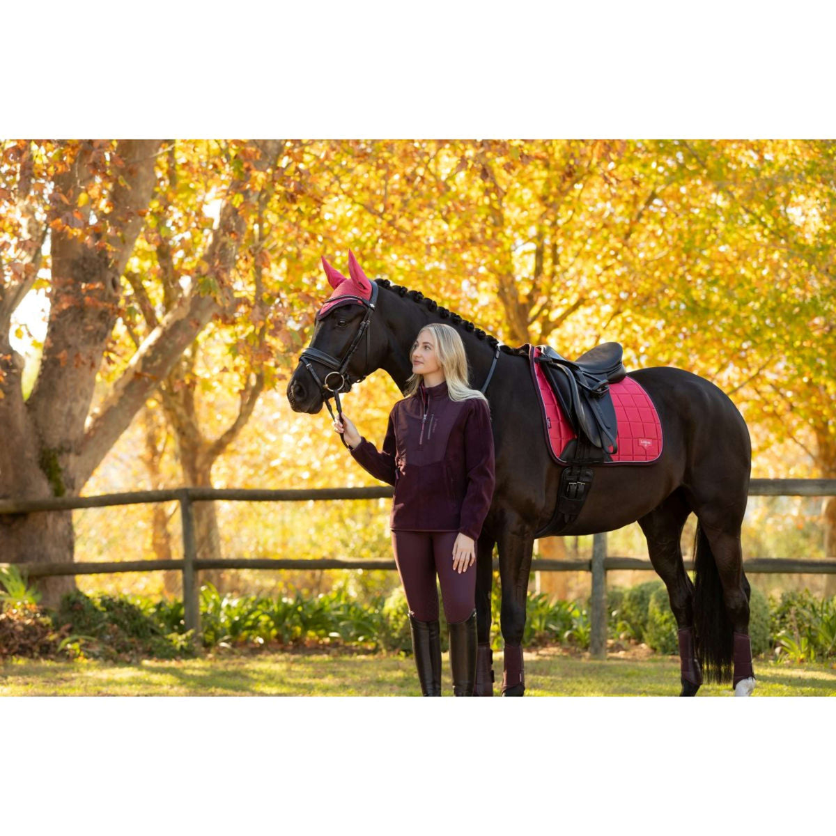 LeMieux Mantilla Loire Classic Doma clásica Cranberry