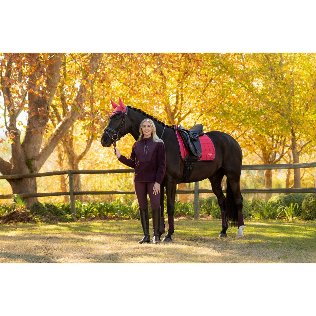 LeMieux Mantilla Loire Classic Doma clásica Cranberry