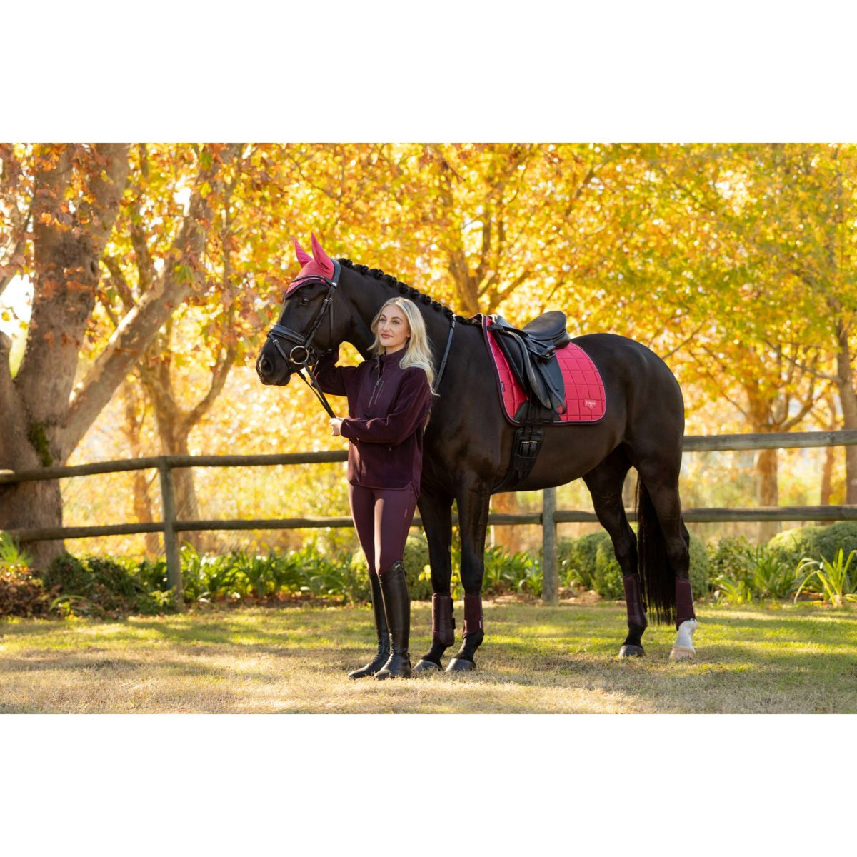 LeMieux Mantilla Loire Classic Doma clásica Cranberry