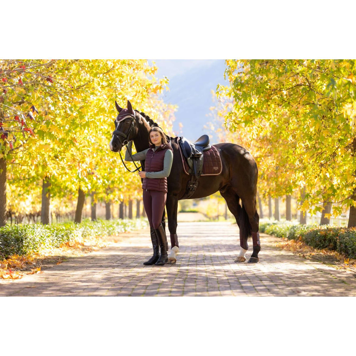LeMieux Mantilla Loire Classic Doma clásica Color ES: Ciruela
