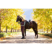 LeMieux Mantilla Loire Classic Doma clásica Color ES: Ciruela