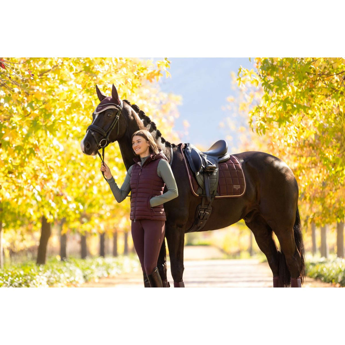 LeMieux Mantilla Loire Classic Doma clásica Color ES: Ciruela
