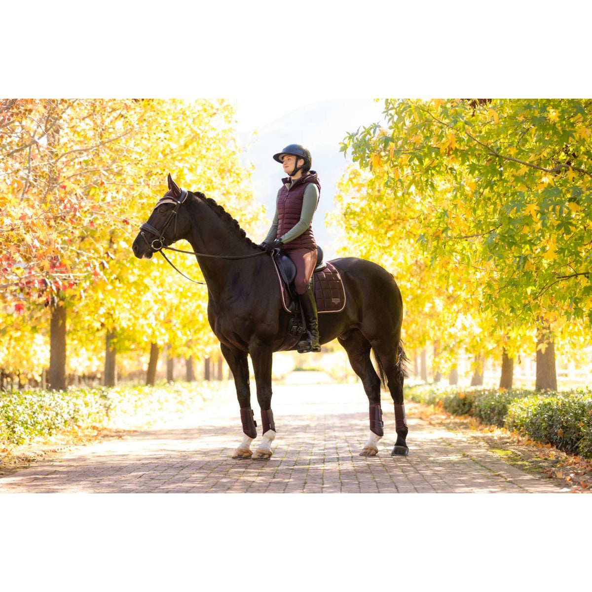 LeMieux Mantilla Loire Classic Doma clásica Color ES: Ciruela