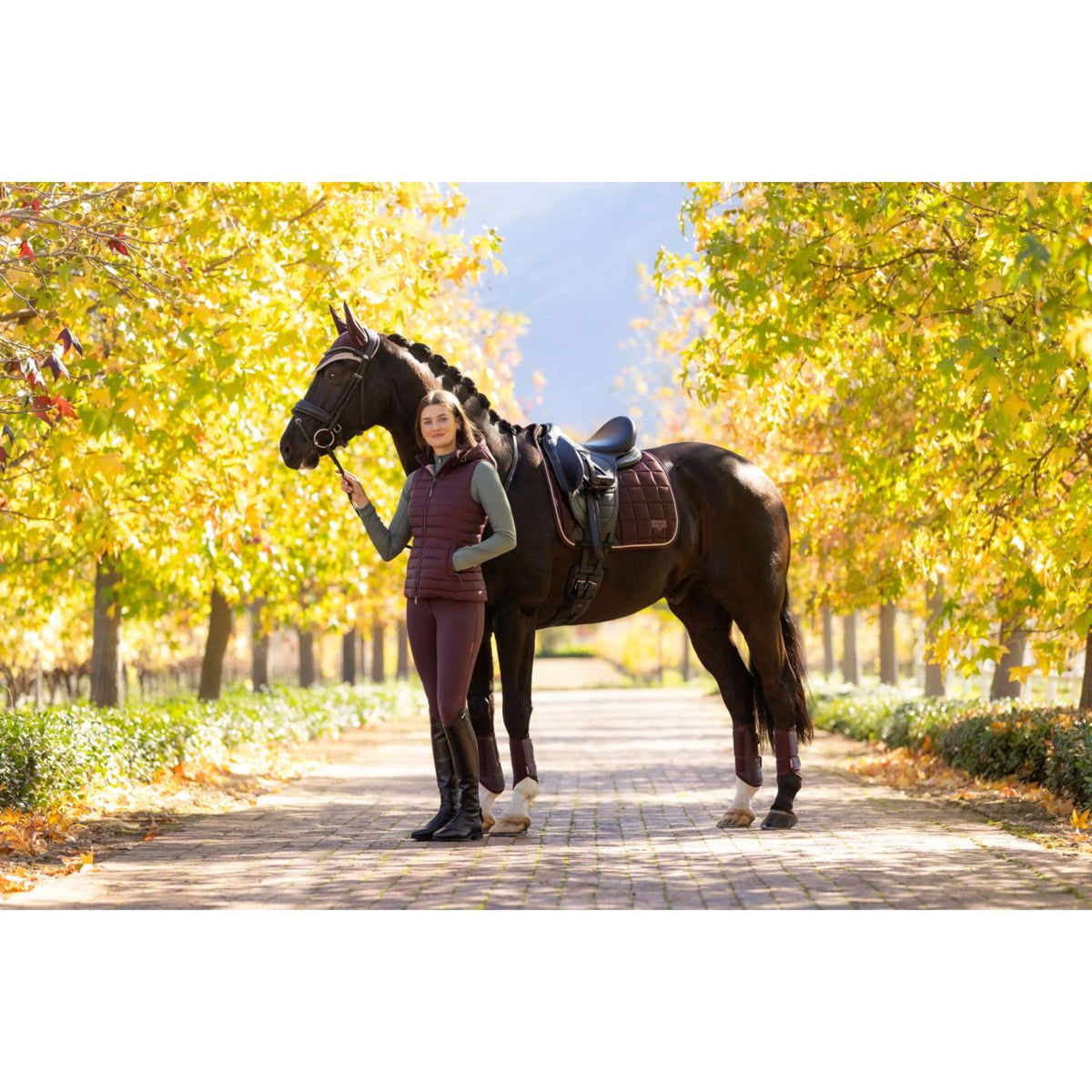 LeMieux Mantilla Loire Classic Doma clásica Color ES: Ciruela