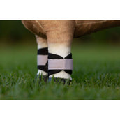 LeMieux Toy Pony Protectores de Piernas Lilac