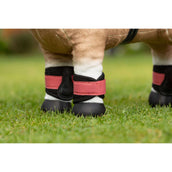 LeMieux Toy Pony Protectores de Piernas Cranberry