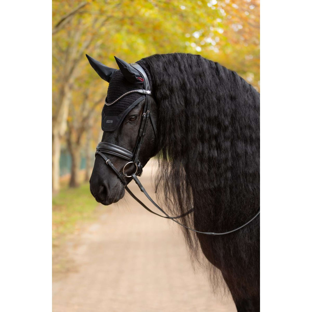 LeMieux Bonete para Orejas Essence Negro