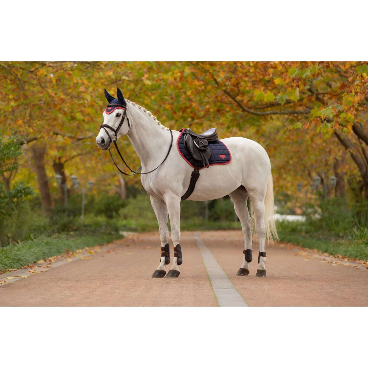 LeMieux Mantilla Loire Classic saltando Navy/Cranberry