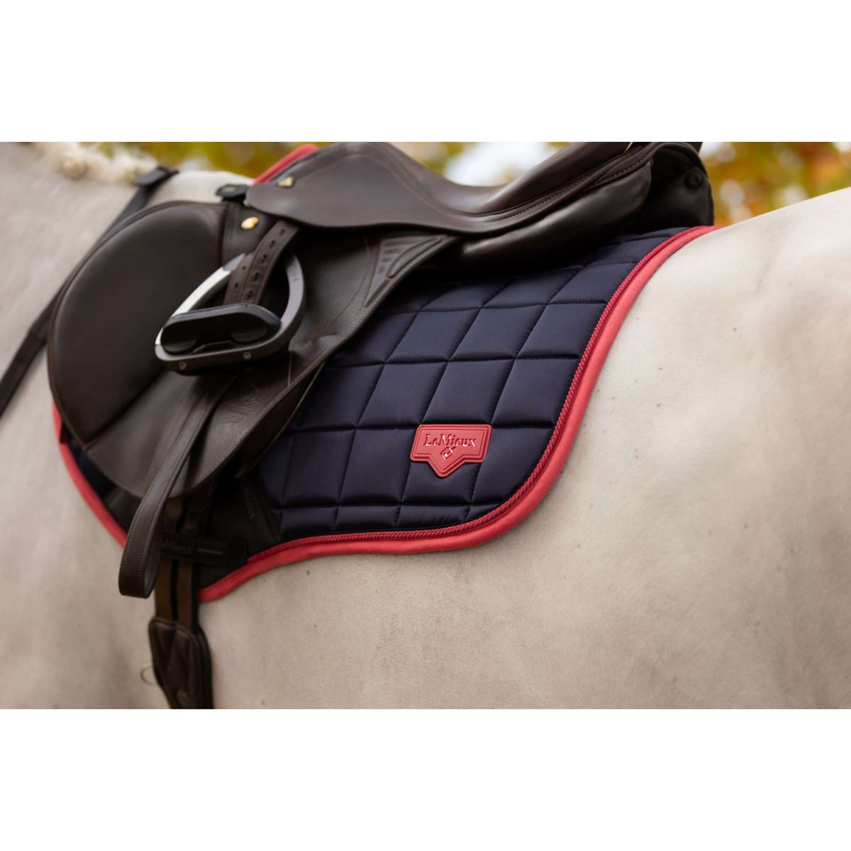 LeMieux Mantilla Loire Classic saltando Navy/Cranberry