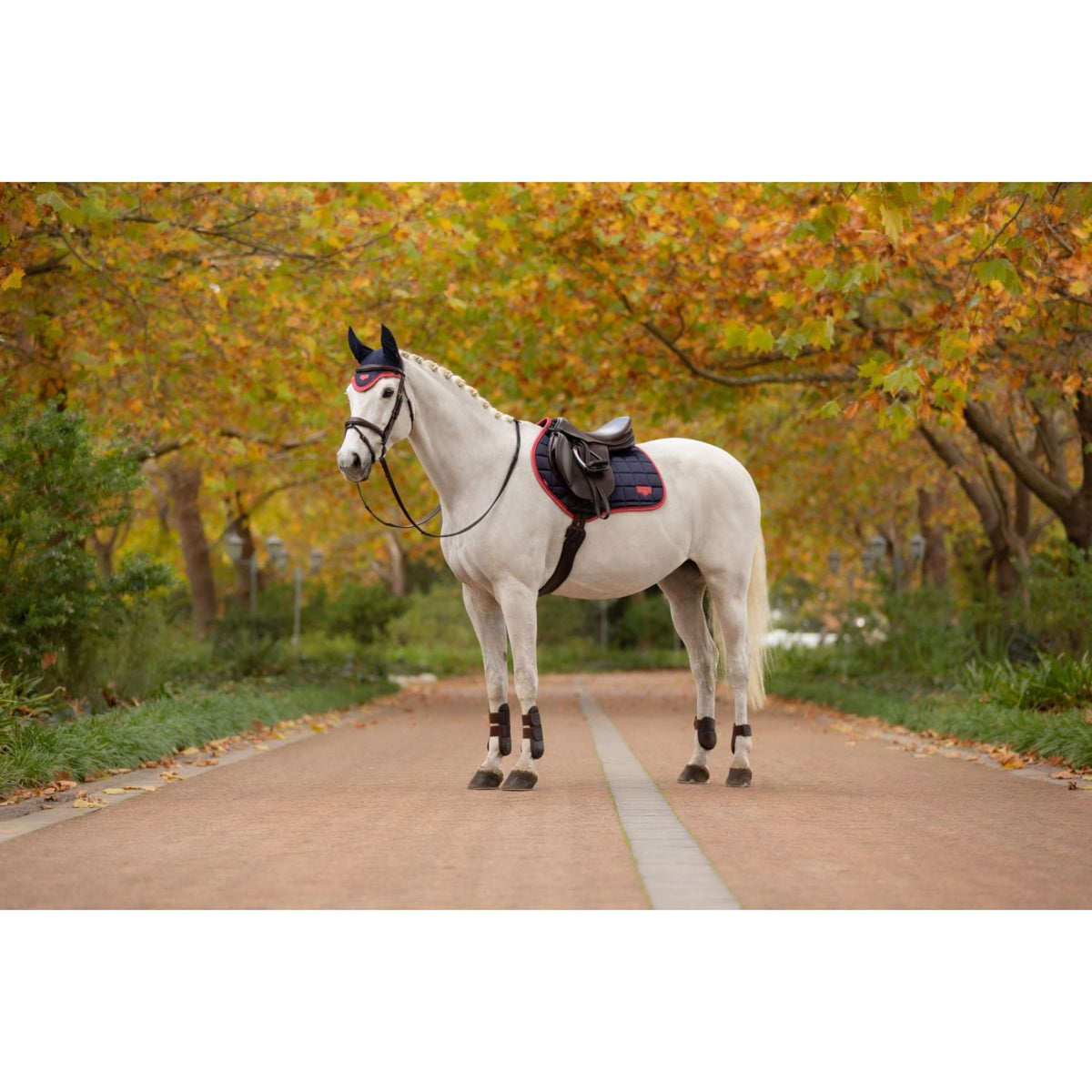 LeMieux Mantilla Loire Classic saltando Navy/Cranberry