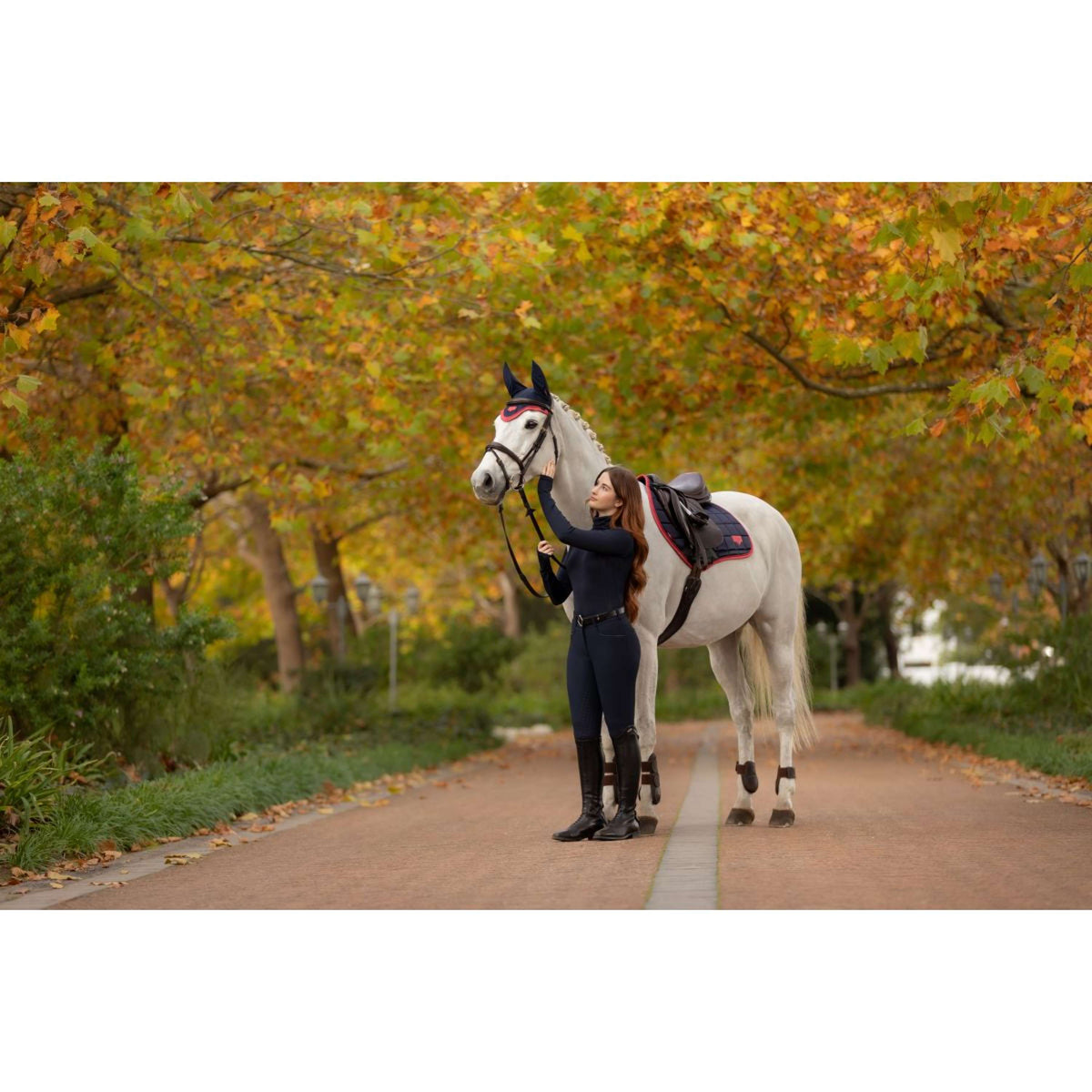 LeMieux Mantilla Loire Classic saltando Navy/Cranberry