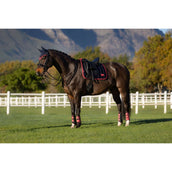 LeMieux Mantilla Loire Classic Doma clásica Navy/Cranberry